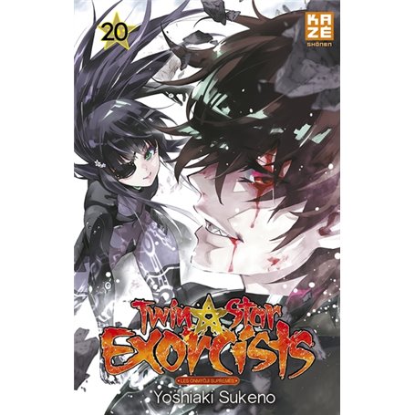 Twin Star Exorcists T20