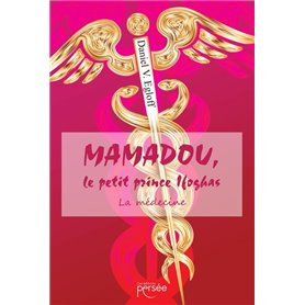Mamadou, le petit prince Ifoghas et la médecine