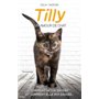 Tilly, un amour de chat