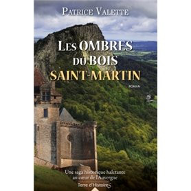 Les ombres du bois Saint-Martin