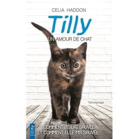 Tilly, le chat de l'amour