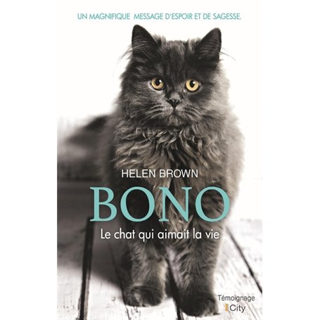 Bono le chat qui aimait la vie