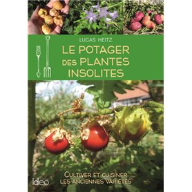 Le potager des plantes insolites