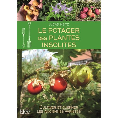 Le potager des plantes insolites