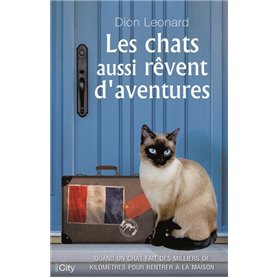 Les chats aussi rêvent d'aventures