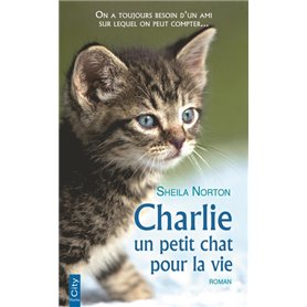 Charlie, un petit chat pour la vie