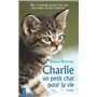 Charlie, un petit chat pour la vie