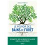 Le pouvoir des bains de forêt