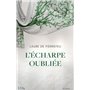 L'écharpe oubliée