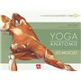 Yoga anatomie - Les muscles