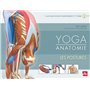 Yoga anatomie - Les postures