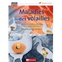 Maladies des volailles