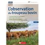 L'observation du troupeau bovin