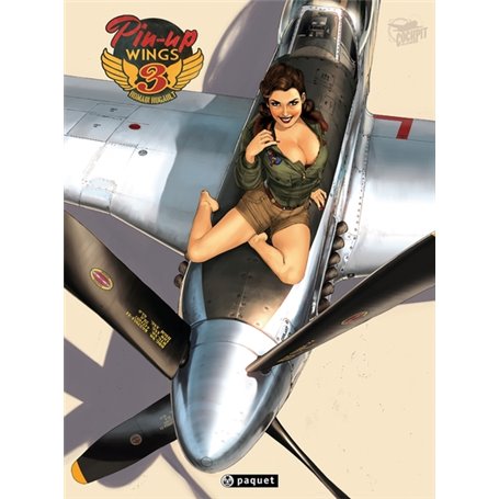 Pin-Up Wings T3