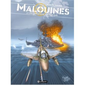 Malouines - Le ciel appartient aux faucons