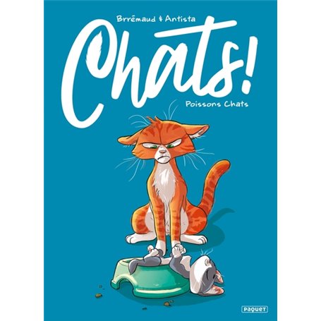 CHATS ! - T5 -