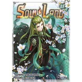 Soul Land - T13