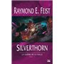 La Guerre de la Faille T03 Silverthorn