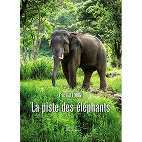 La piste des éléphants