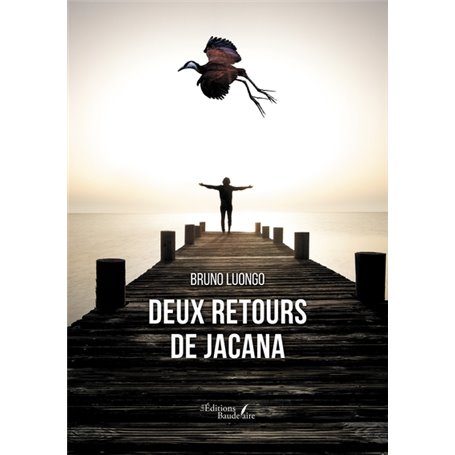 Deux retours de Jacana