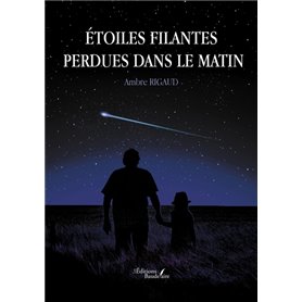 Étoiles filantes perdues dans le matin