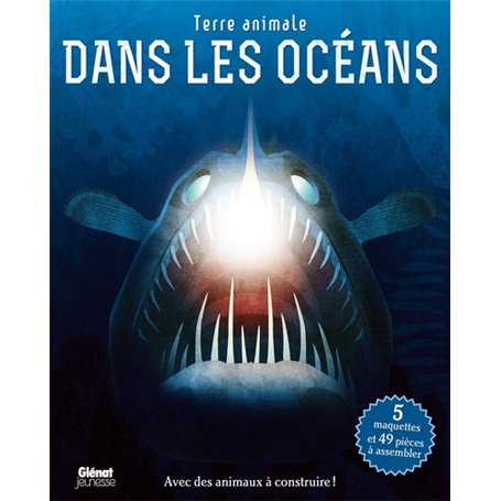 Dans les océans