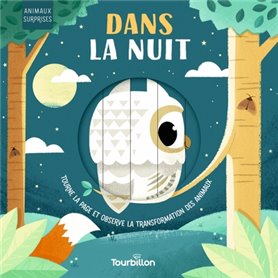 Dans la nuit