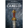 Les Chroniques de Camelot, T1 : La Pierre céleste