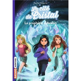 La cité de cristal, Tome 05