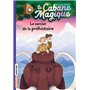 La cabane magique, Tome 06