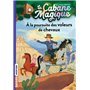 La cabane magique, Tome 13