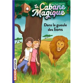 La cabane magique, Tome 14