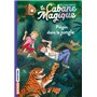 La cabane magique, Tome 18