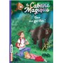 La cabane magique, Tome 21