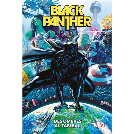 Black Panther T01 : Des ombres au tableau