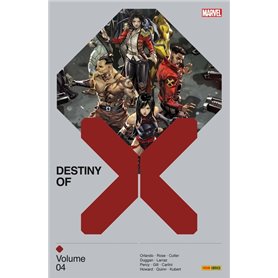 Destiny of X T04