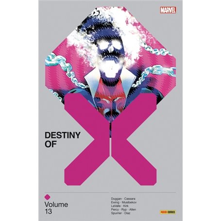 Destiny of X T13