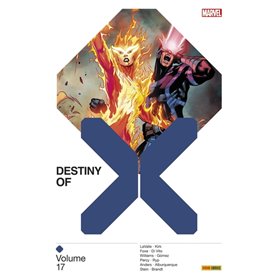 Destiny of X T17