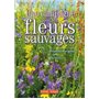 Une campagne pour les fleurs et plantes sauvages