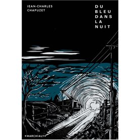 Du bleu dans la nuit