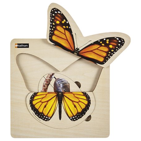 Puzzle Cycle de vie - Papillon