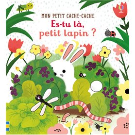 Es-tu là, petit lapin ? - Mon petit cache-cache