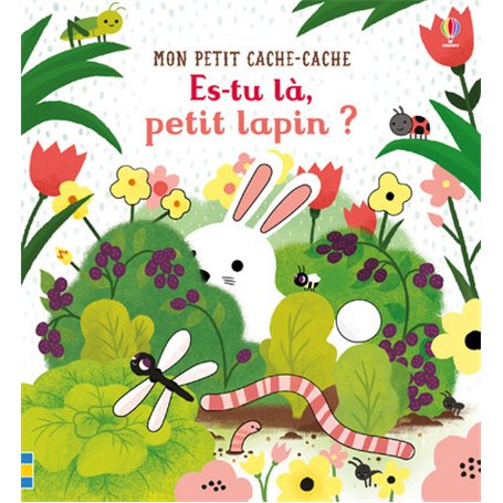 Es-tu là, petit lapin ? - Mon petit cache-cache