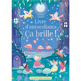 Ca brille ! - Livre d'autocollants