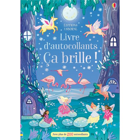 Ca brille ! - Livre d'autocollants