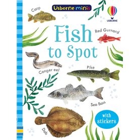 Fish to Spot - Usborne Minis