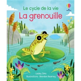 La grenouille - Le cycle de la vie