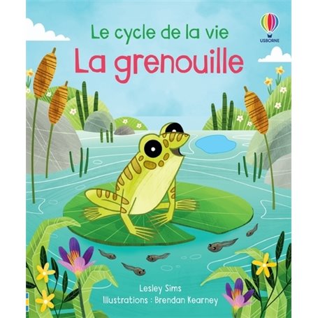 La grenouille - Le cycle de la vie