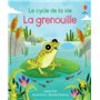 La grenouille - Le cycle de la vie