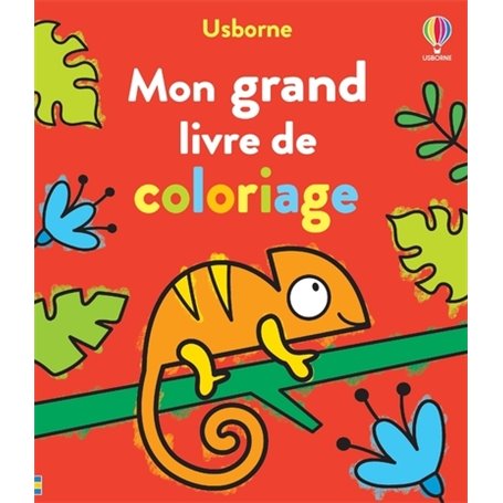 Mon grand livre de coloriage